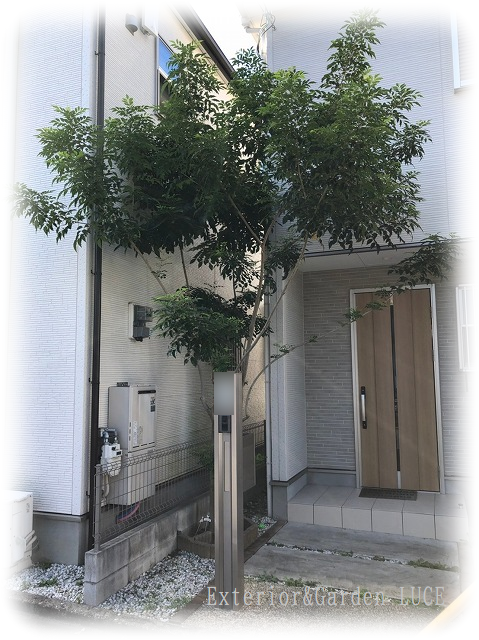 奈良市　S様邸　シンボルツリー工事 Before画像