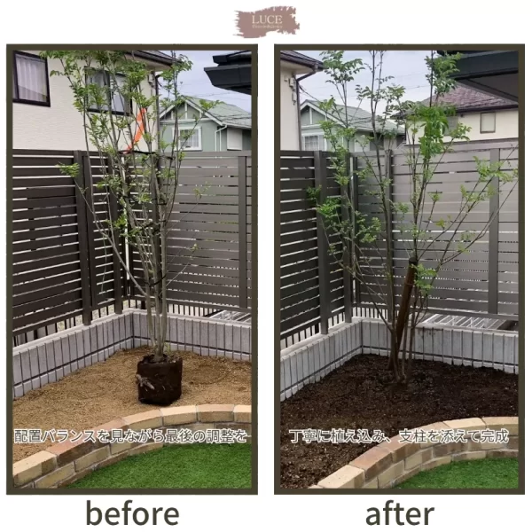 植栽仮置き状態→植え込み完了の庭の比較