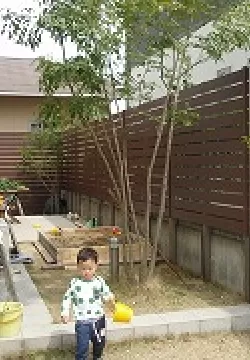 奈良市　Y様邸　庭工事のサムネイル