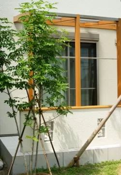 奈良市　O邸　ガーデン工事　TOEX（LIXIL)ココマ腰壁タイプ　タイルテラスのサムネイル