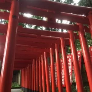 奈良　京都で外構工事！エクステリア＆ガーデン　ルーチェです！のサムネイル