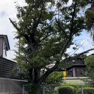 奈良　京都　外構工事　エクステリア＆ガーデンルーチェ　奈良店のサムネイル